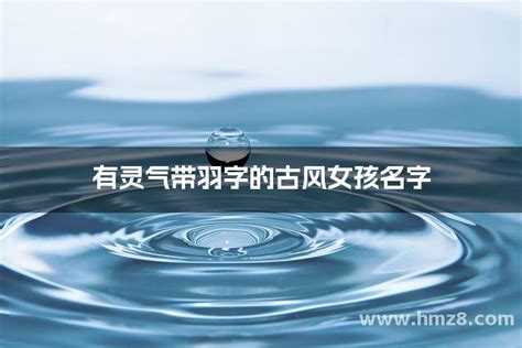 名字有羽